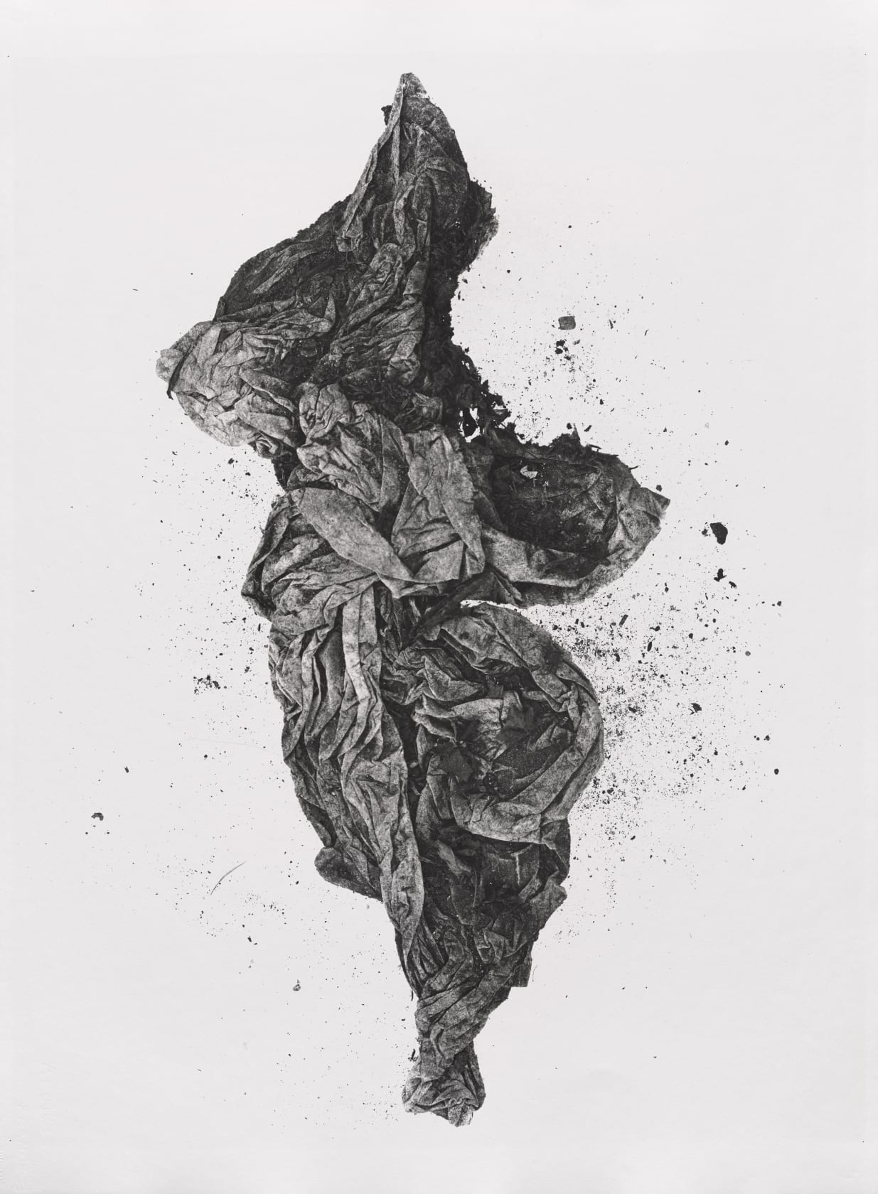Irving Penn photograph "Twisted Paper, Neg III"