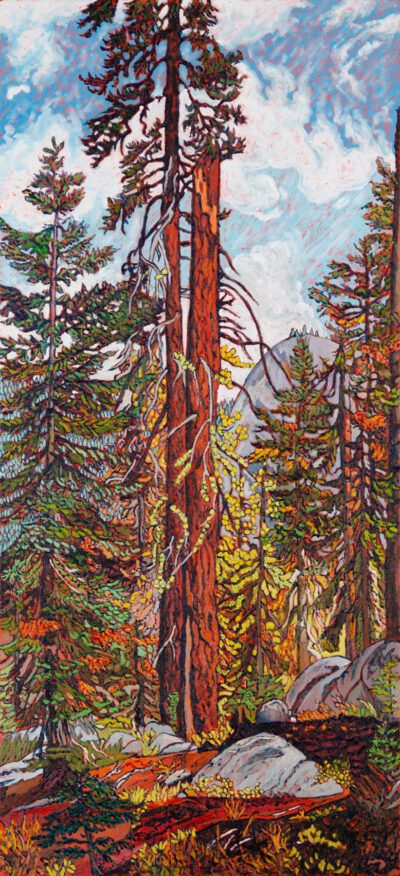 Kathleen Frank oil painting "Young Giant of Yosemite"
